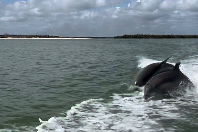 Manatee, Dolphin, and 10,000 Islands Eco Beach Tour by Boat - Who Should Consider This Tour?