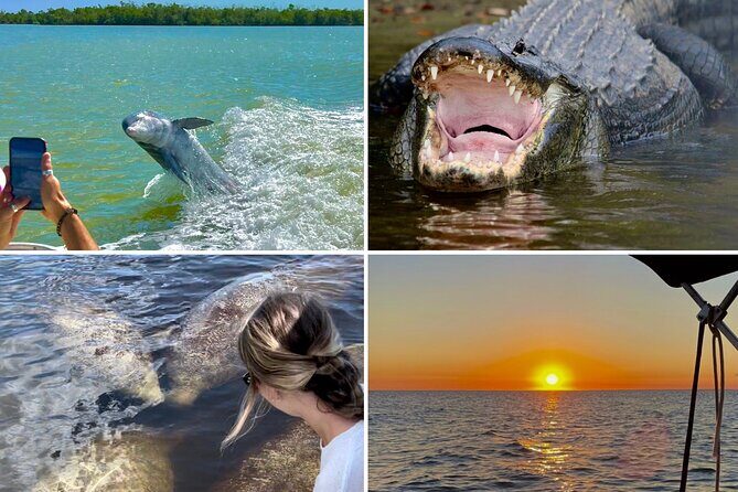 Manatee, Dolphin and 10,000 Islands Sunset Cruise! - What to Expect from the Tour