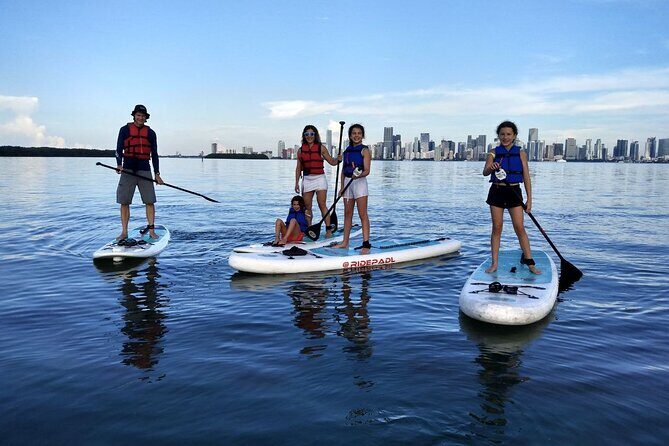 Manatee Season Guided Paddle Tour from Virginia Key - The Final Word