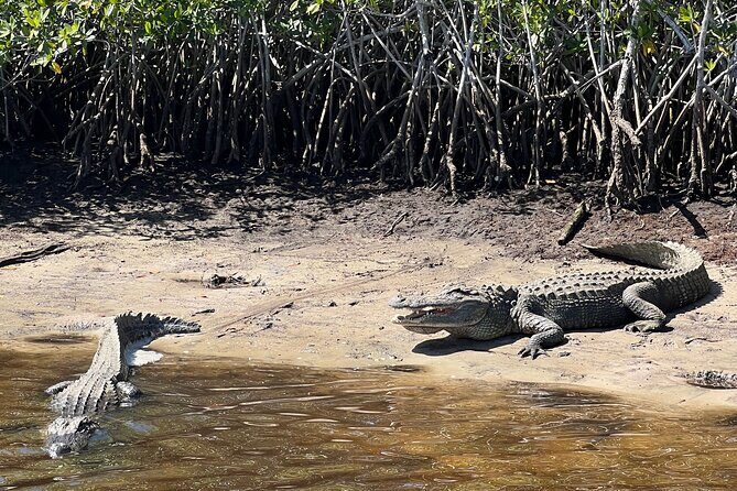 Manatee Sightseeing and Wildlife Boat Tour - Who Should Consider This Tour?