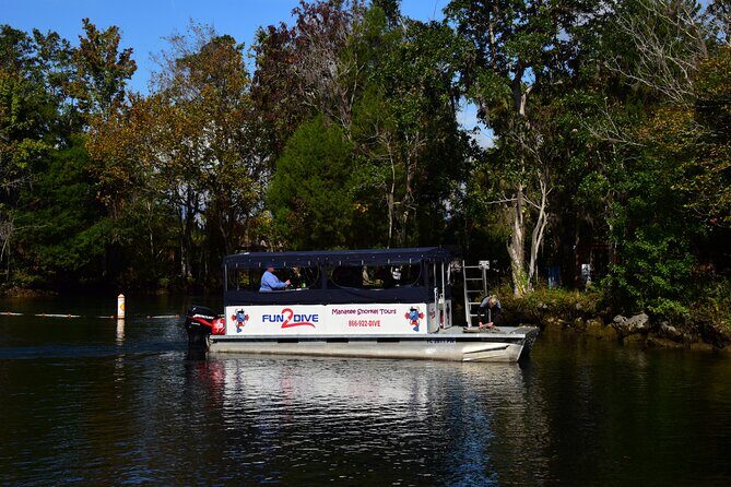 Manatee Snorkel Tour - Small Group - Key Points
