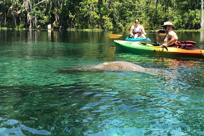 Manatee Springs Adventure Tour - An In-Depth Look at the Manatee Springs Adventure Tour