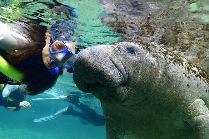 Manatee Swim and Wildlife Park with Upgrade Options from Orlando - An In-Depth Look at the Tour Experience