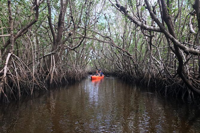 Manatees and Mangrove Tunnels Small Group Kayak Tour - FAQ