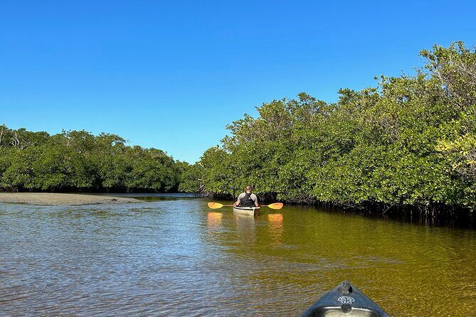 Manatees, Grasslands and Mangroves kayak Tour (Small Group Tour) - Comparing It to Other Tours