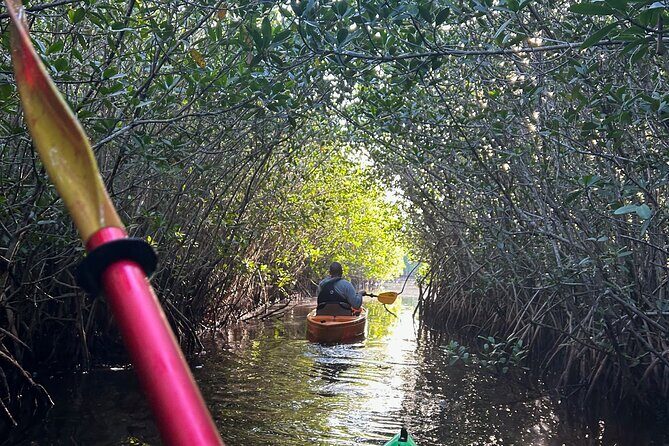 Manatees, Grasslands and Mangroves kayak Tour (Small Group Tour) - Who Will Love This Tour?