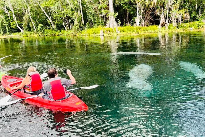 Manatees, Monkeys and Florida Natural Spring Adventure Tour - An Honest Look at the Experience