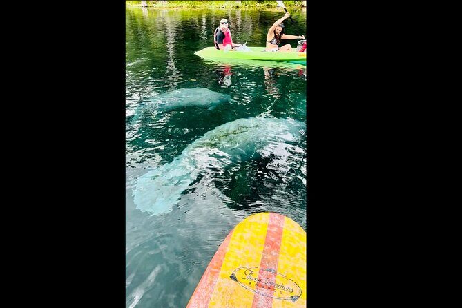 Manatees, Monkeys and Florida Natural Spring Adventure Tour - FAQ