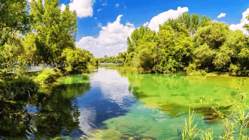 Manavgat River Cruise With Waterfall & Bazaar Tour - A Detailed Look at the Manavgat River Cruise & Waterfall Tour