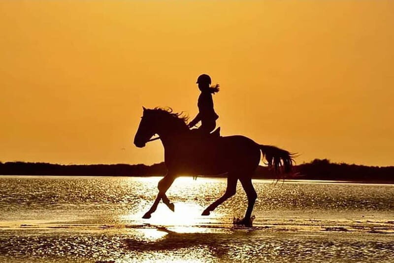 Manavgat Side: Horse Riding on the Beach and in the Forest - What to Expect from the Tour