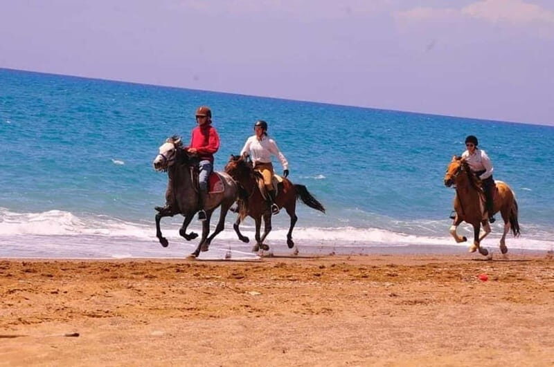Manavgat Side: Horse Riding on the Beach and in the Forest - Pricing and Value