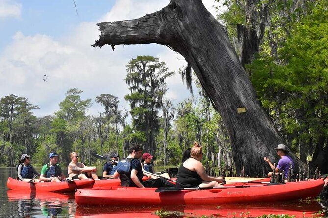 Manchac Swamp EXTENDED Kayak Tour with Pickup - What is the Manchac Swamp Extended Kayak Tour?