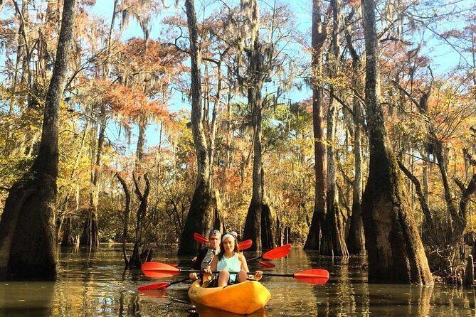 Manchac Swamp EXTENDED Kayak Tour with Pickup - The Itinerary and What to Expect