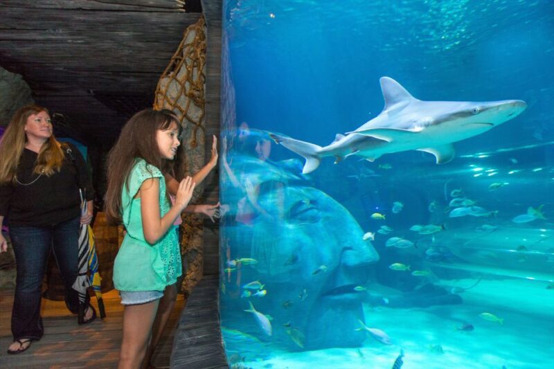 Manchester: SEA LIFE Entrance Ticket - Key Points