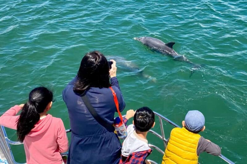 Mandurah: Dolphin and Views Cruise - Final Thoughts