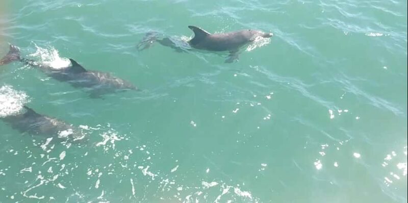 Mandurah Pirate Cruise - An Overview of the Experience
