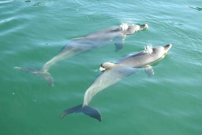 Mandurah Sunset Cruise - Final Thoughts