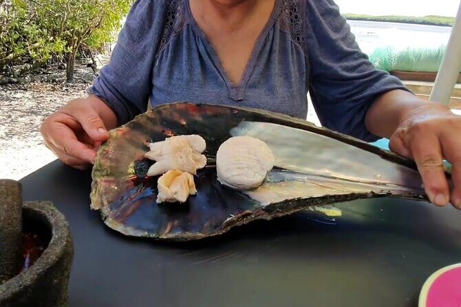 Mangrove Adventure with Snorkeling and Shellfish Tasting - A Deep Dive Into the Mangrove Adventure Experience