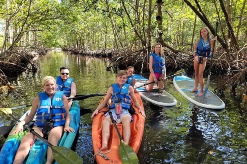 Mangrove Jungle exploration on SUP/Kayak - Is This Tour Right For You?