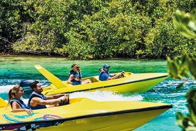 Mangrove Jungle Speedboat Experience - The Sum Up
