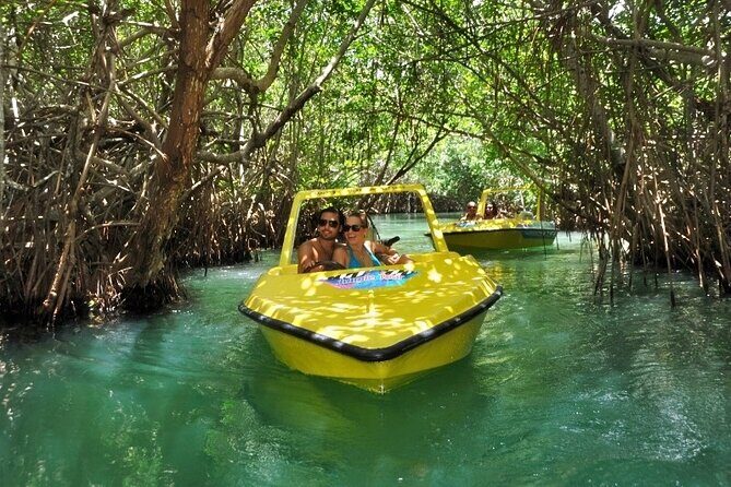 Mangrove Jungle Speedboat Experience - What’s It Really Like? A Deep Dive Into the Experience