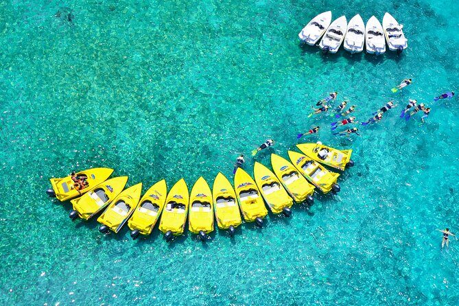 Mangrove Jungle Speedboat Experience - Final Thoughts