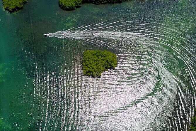 Mangrove Jungle Speedboat Tour in Nichupte Lagoon - The Details of the Mangrove Jungle Speedboat Tour
