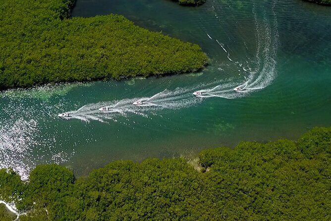 Mangrove Jungle Speedboat Tour in Nichupte Lagoon - In The Sum Up