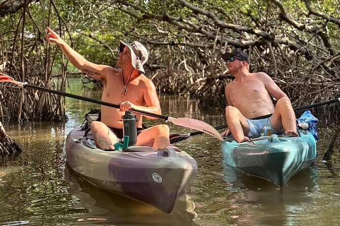 Mangrove Tunnel Kayak Tour To Shell Key - St. Pete, FL - Key Points