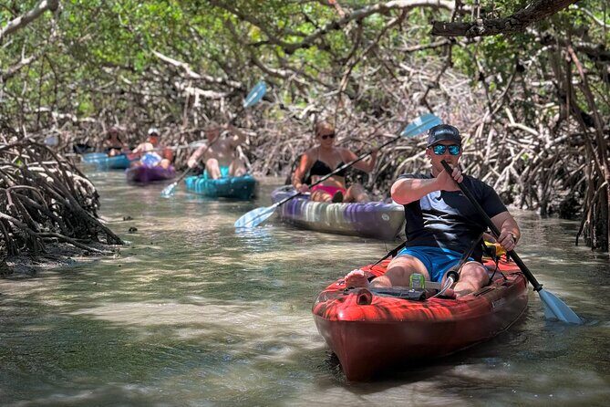 Mangrove Tunnel Kayak Tour To Shell Key - St. Pete, FL - An In-Depth Look at the Tour