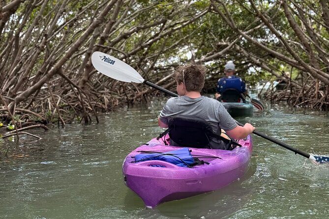 Mangrove Tunnel Kayak Tour To Shell Key - St. Pete, FL - Practical Aspects of the Tour