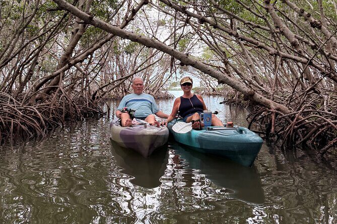 Mangrove Tunnel Kayak Tour To Shell Key - St. Pete, FL - What Are the Downsides?