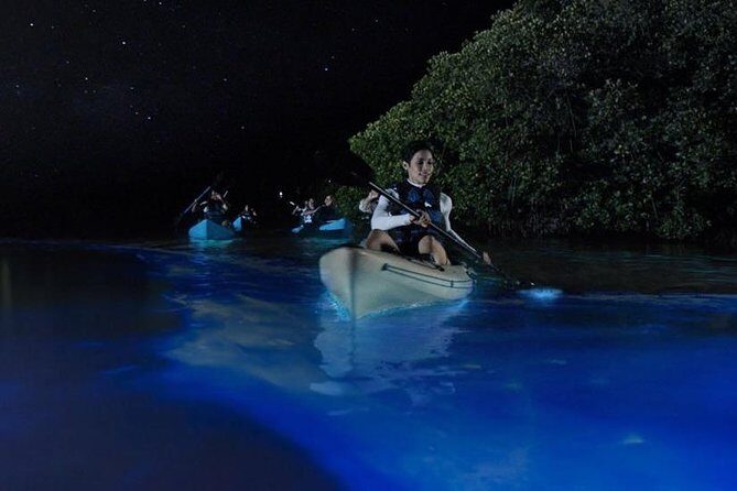 Mangrove Tunnels, Dolphins, Manatee Tour #1 Rated in Cocoa Beach - What the Reviews Say