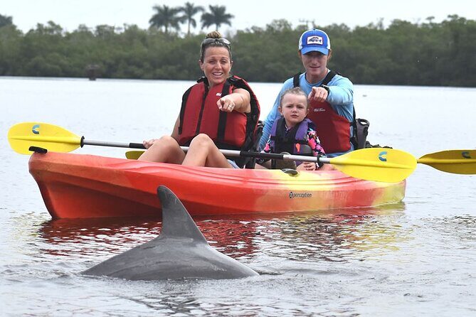 Mangrove Tunnels Kayak Tour (Photographer Included)- Marco Island - What to Expect from the Tour