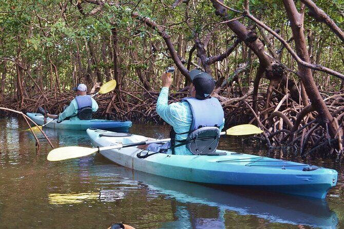 Mangrove Tunnels Kayak Tour (Photographer Included)- Marco Island - Value for Money