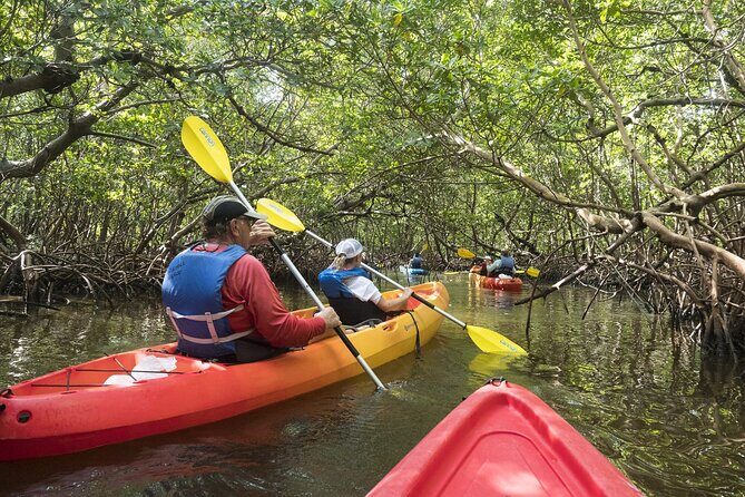 Mangrove Tunnels Kayak Tour (Photographer Included)- Marco Island - Who Should Consider This Tour?