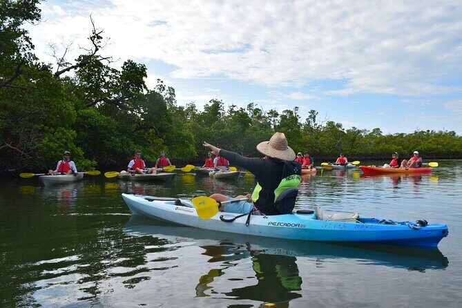 Mangrove Tunnels Kayak Tour (Photographer Included)- Marco Island - Frequently Asked Questions