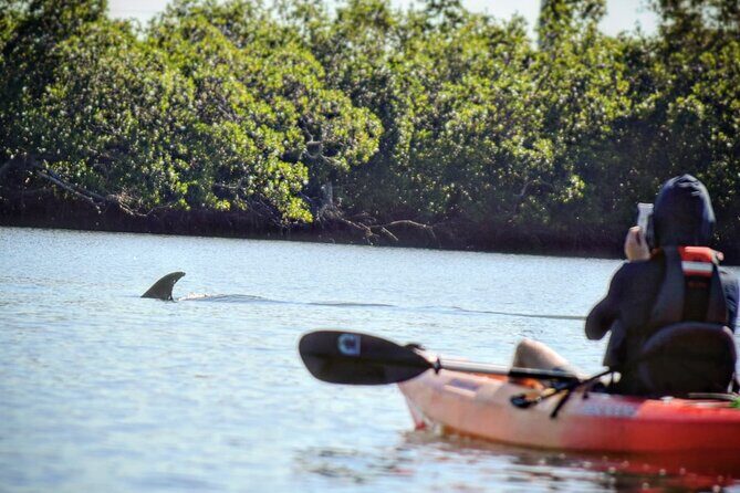 Mangrove Tunnels Kayak Tour (Photographer Included)- Marco Island - Final Thoughts