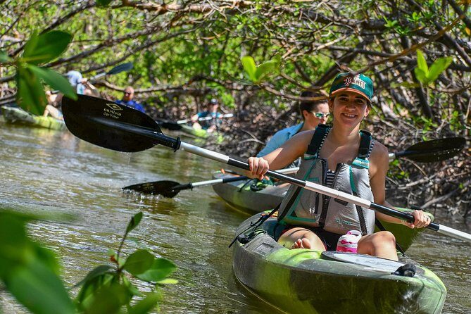 Mangrove Tunnels & Mudflats Kayak Tour - Local Biologist Guides - The Sum Up