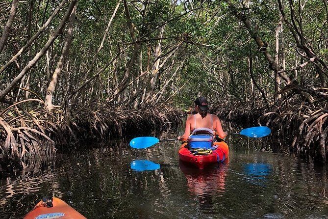 Mangrove Tunnels Pedal Kayak Eco-Tour in Anna Maria - Introduction to the Mangrove Tunnels Pedal Kayak Eco-Tour
