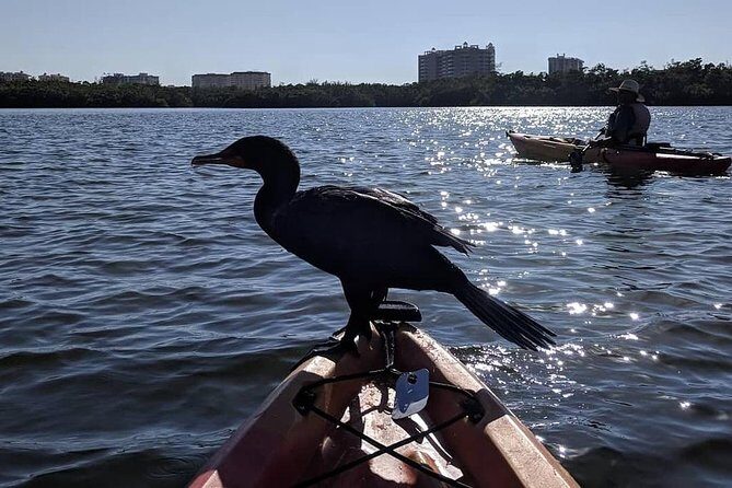 Mangrove Tunnels Pedal Kayak Eco-Tour in Anna Maria - What’s Included and What’s Not