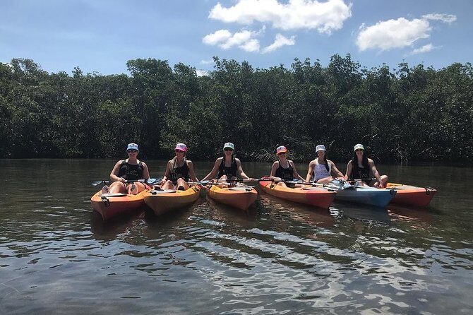 Mangrove Tunnels Pedal Kayak Eco-Tour in Anna Maria - Is This Tour Worth the Price?