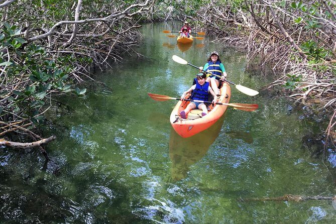 Mangroves and Manatees - Guided Kayak Eco Tour - FAQ