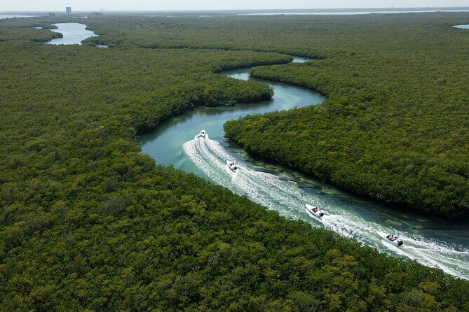 Mangroves and Punta Nizuc Snorkel Adventure by Speedboat - Who Is This Tour Best For?