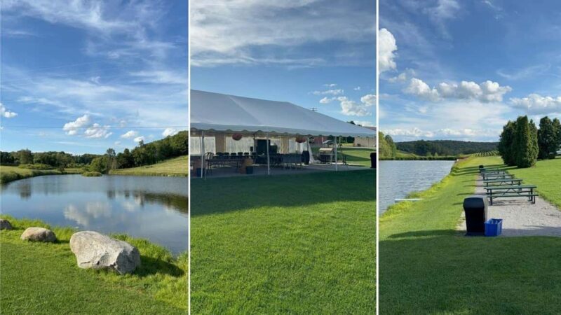 Manhattan: Millbrook Vineyards & Winery Private Tour - What to Expect on the Day