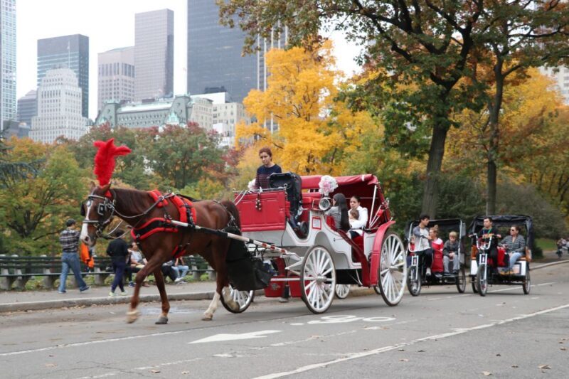 Manhattan: VIP Private Horse Carriage Ride in Central Park - What You Can Expect from the Tour