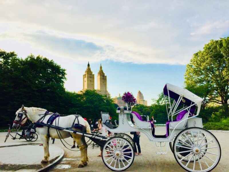 Manhattan: VIP Private Horse Carriage Ride in Central Park - The Experience’s Suitability