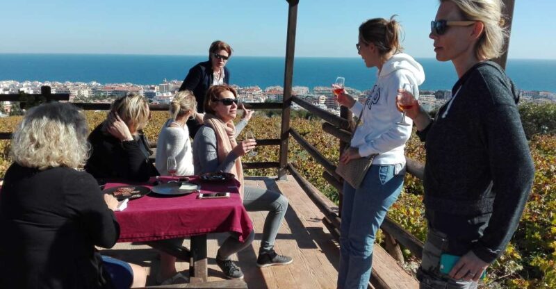 Manilva: Nilva Vineyard, Wine Tasting & Tapas Guided Tour - A Closer Look at the Tour Experience