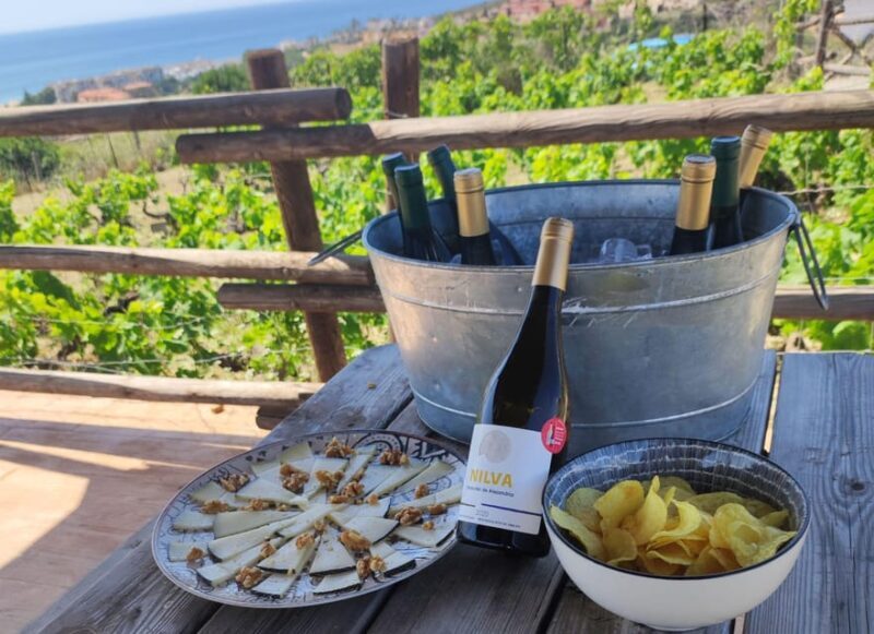 Manilva: Nilva Vineyard, Wine Tasting & Tapas Guided Tour - What We Think