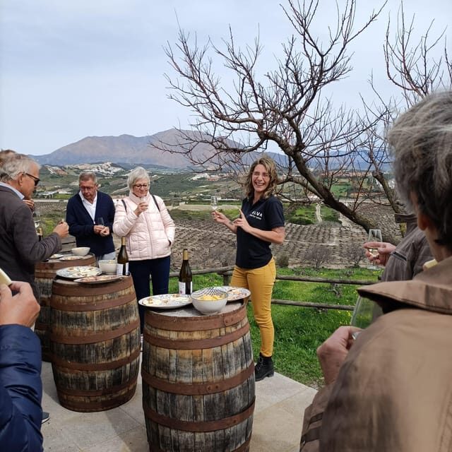 Manilva: Nilva Vineyard, Wine Tasting & Tapas Guided Tour - Final Thoughts